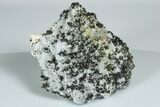 Pyrite, Sphalerite and Quartz Crystal Association - Peru #184541-1